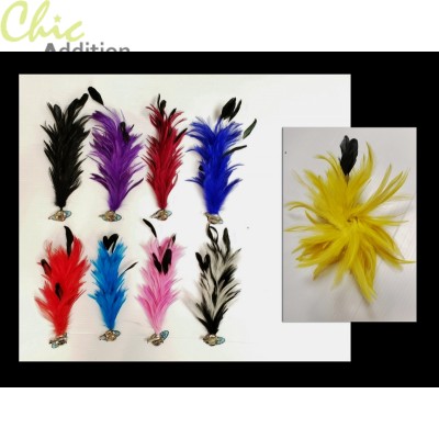 Feather Clips 848